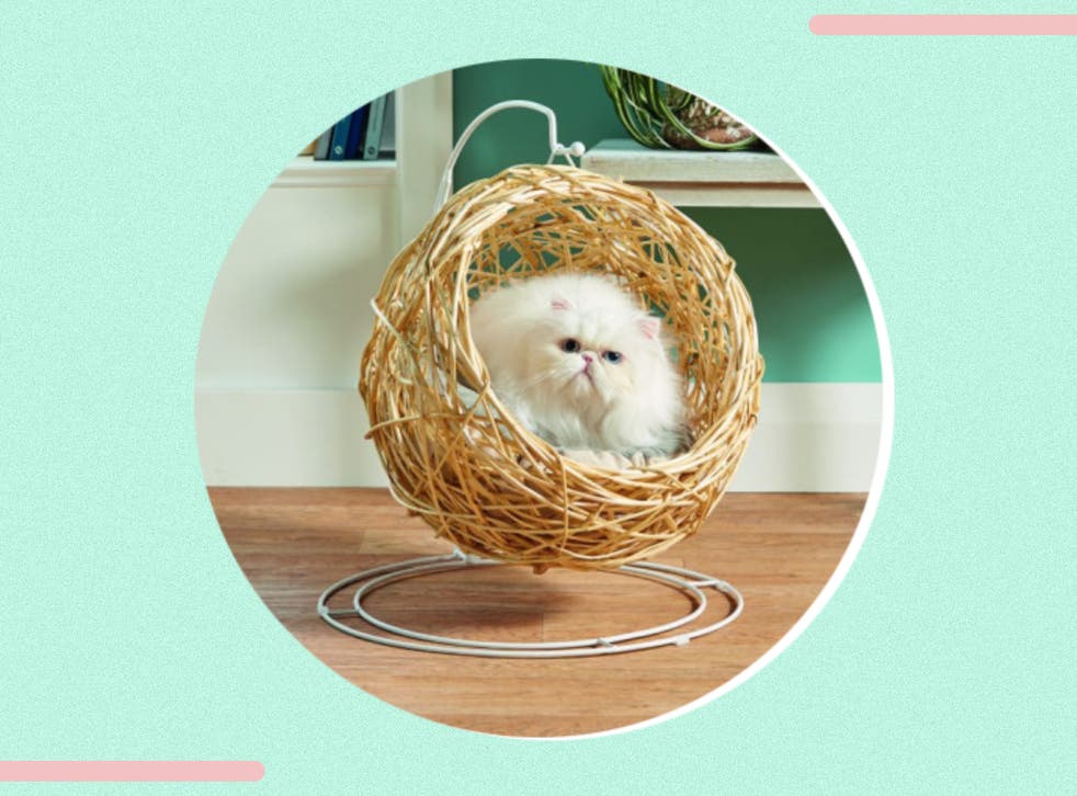Mini Hanging Egg Chair For Cats - Jwalker My Life